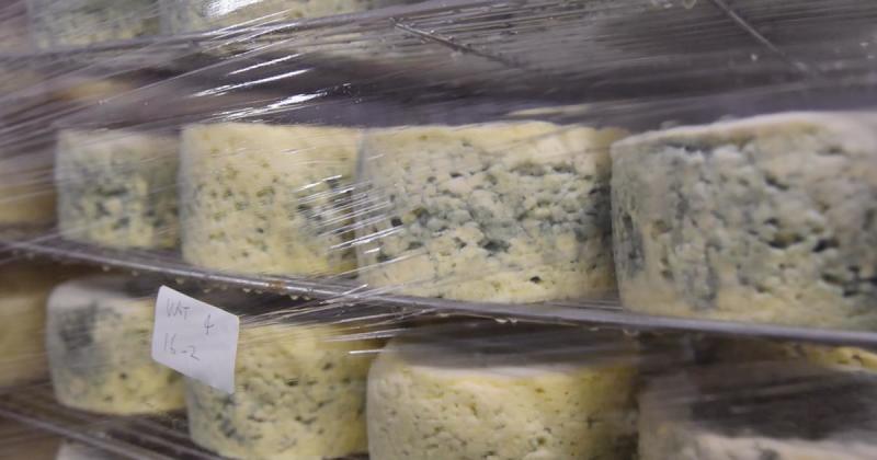 Cheese thief who has admitted EIGHTEEN offences due back in court
