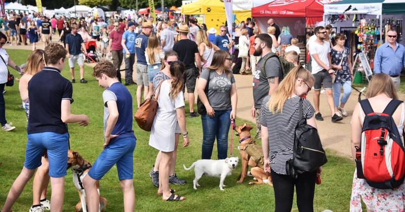 Thousands expected at UK's largest dog festival returning to Norfolk venue