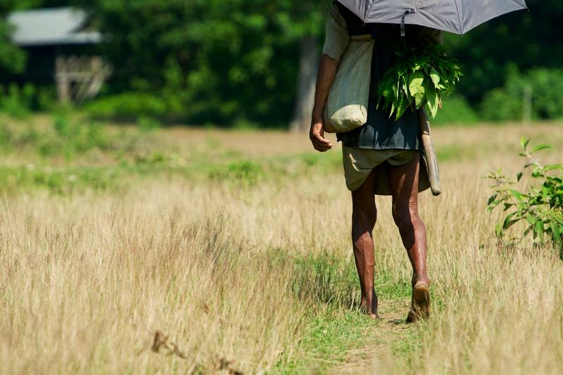 Has extreme poverty really plunged since the 1980s? New analysis suggests not