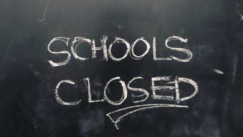 Schools in Jammu Division to remain closed till August 19: DSEJ
