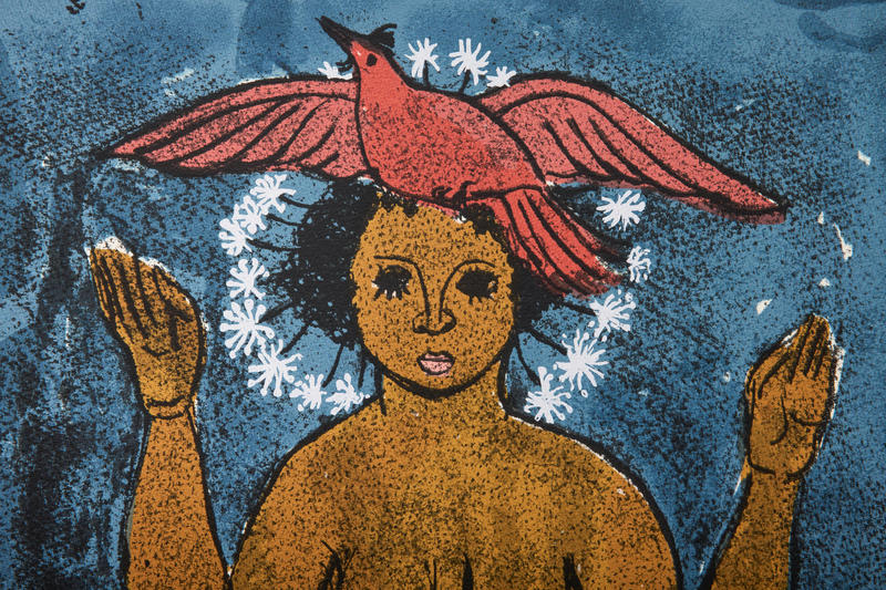 Museu de Arte Moderna de São Paulo tem novas obras do clube de colecionadores