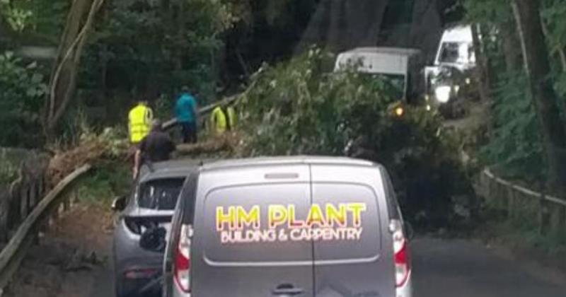 Delays as road blocked by fallen tree