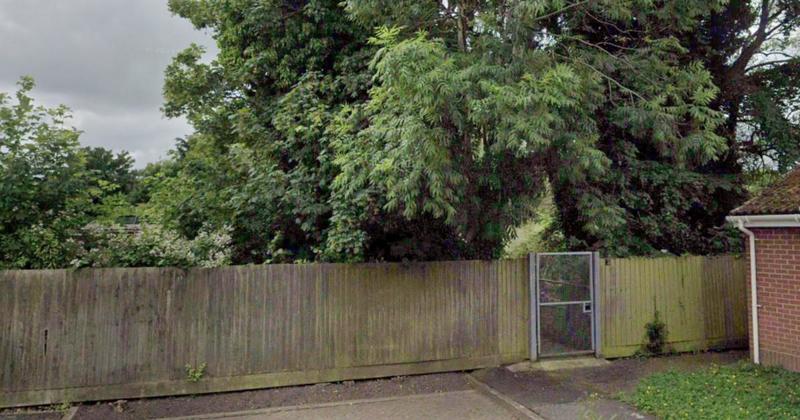 Plans to revitalise former allotment site given go-ahead