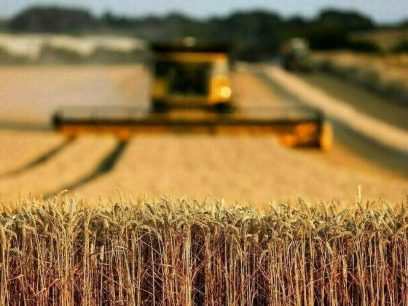 Harnessing ICTs: a new dawn for Pakistan’s agriculture