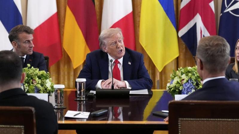 Trump's not the stupid one here