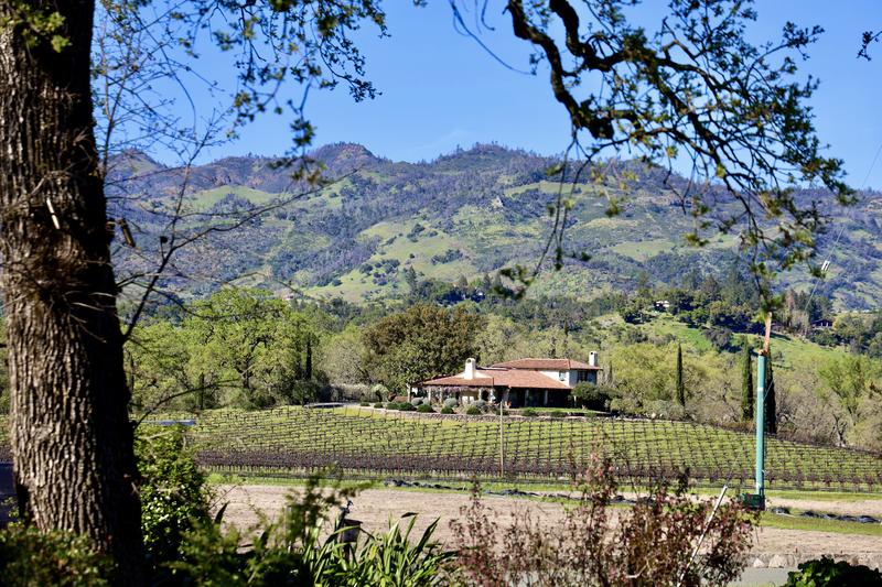 Where to Sip, Eat and Stay in Napa’s Up Valley