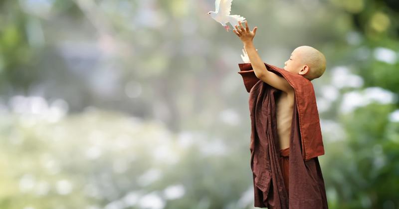Want to Be Happy? Start by Being Kind