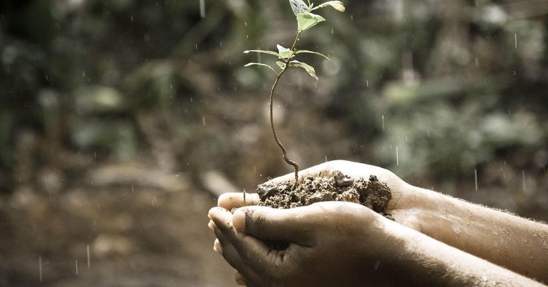 Finding Hope in Tumultuous Times