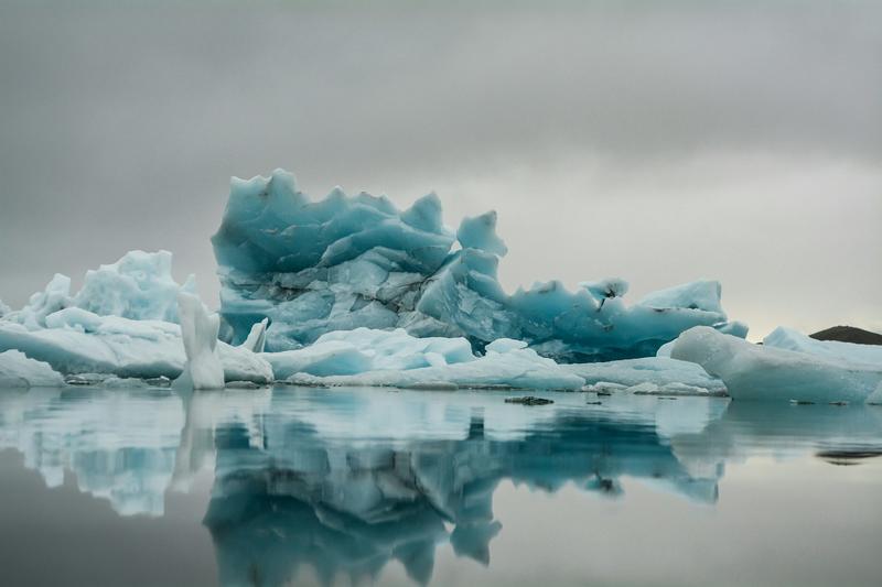 Face à la crise écologique, que peut la poésie ?