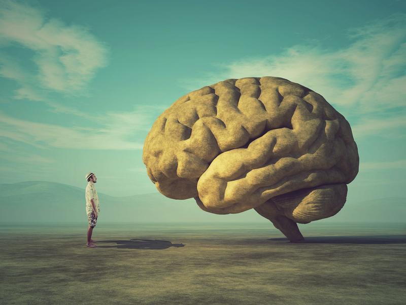 Part of your brain gets bigger as you get older – here is what that means for you