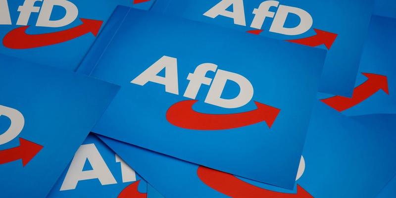 Ludwigshafen, Oberbürgermeisterin  Steinruck und der Ausschluss eines AfD-Kandidaten