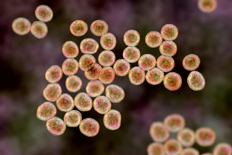 AI has produced 2 new antibiotics to kill ‘superbugs’. It’s promising – but we shouldn’t get too excited yet