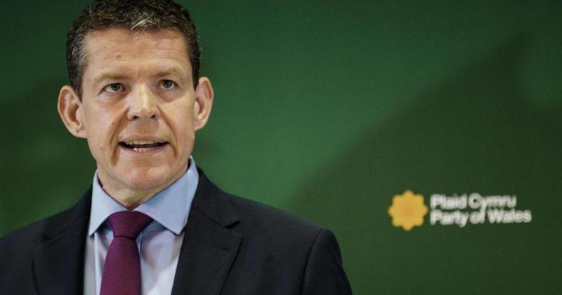 Plaid calls for urgent action to address crisis in Gaza