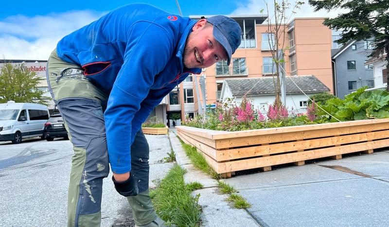 No skjer det endeleg ting i Trivselsgata