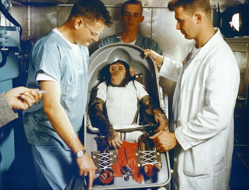 We’ve been sending animals into space for 7 decades – yet there are still no rules to protect them from harm