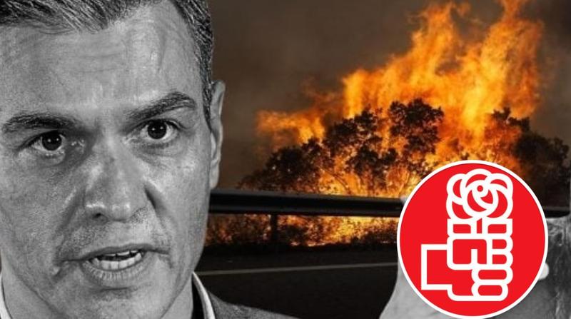 ¡Actúen ya, destituyan de inmediato al bandido de La Moncloa y creen un gobierno de concentración nacional… pues, España está en una situación de emergencia!