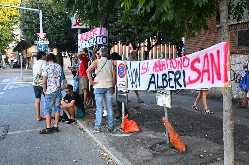 La battaglia del verde: pino presidiato in via Don Minzoni, tagliata pianta a Villa Mazzacorati