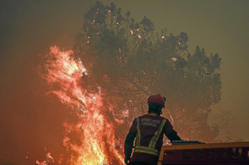 Portugals Waldbrände: Katastrophe mit Ansage