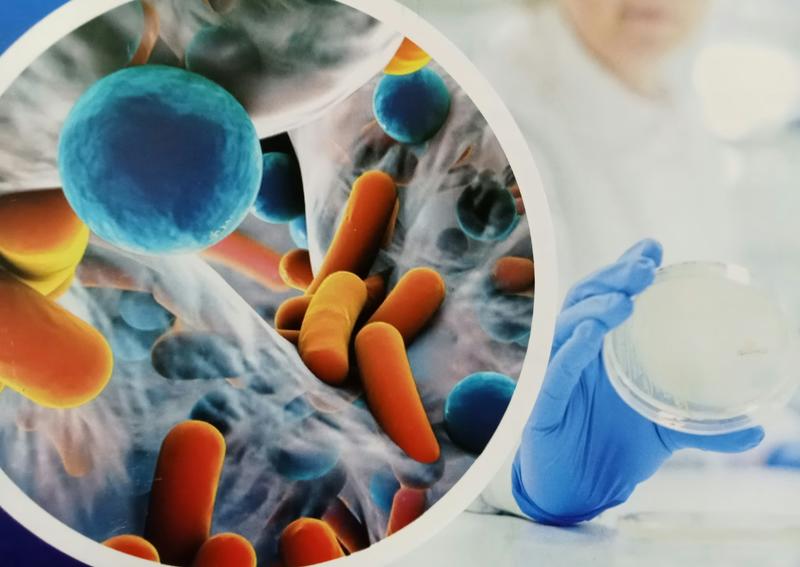 Environmental antibiotic resistance unevenly addressed despite growing global risk, study finds