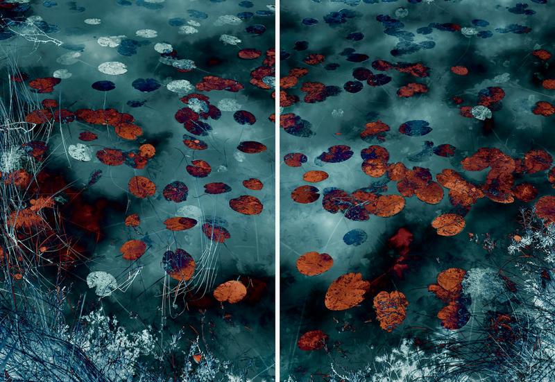 Making Waves; Breaking Ground: a luminous show that reveals the interconnectedness of nature