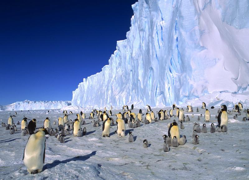 From sea ice to ocean currents, Antarctica is now undergoing abrupt changes – and we’ll all feel them