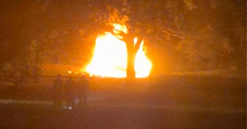 Shocking photo shows car become 'huge ball of flames'