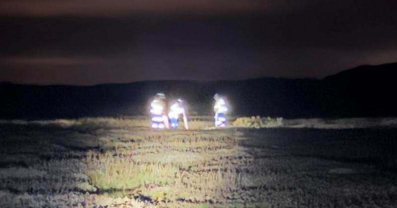 Woman and two dogs get lost on dark marshland