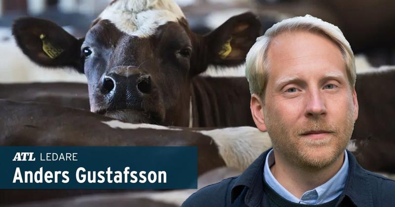 ”Konkurrens på lika villkor – det borde liberaler gilla”