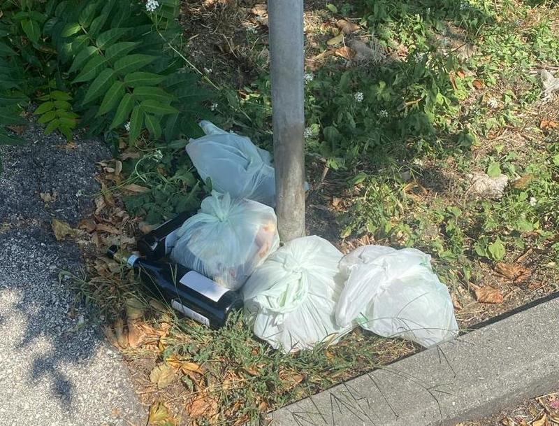 Via Saragat senza cassonetti. Rifiuti abbandonati: arrivano i topi