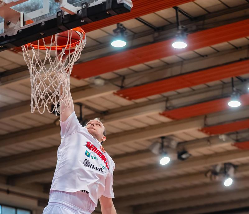 Goldengas, definita la prima amichevole: debutto con la Virtus Civitanova il 30 agosto