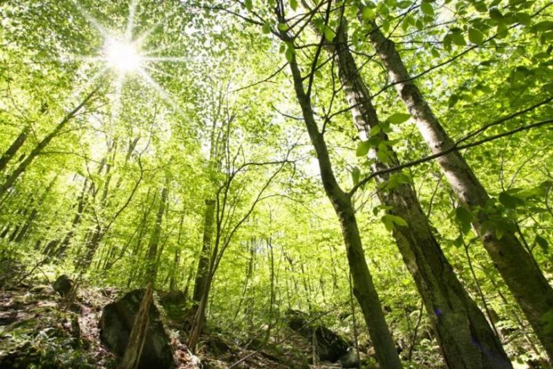 La naturaleza que valoramos: una nueva mirada para las áreas protegidas en Chile