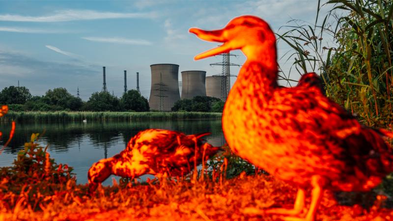 Ballast | Bis in alle Zeit verstrahlt: Zehn Fakten über Atommüll