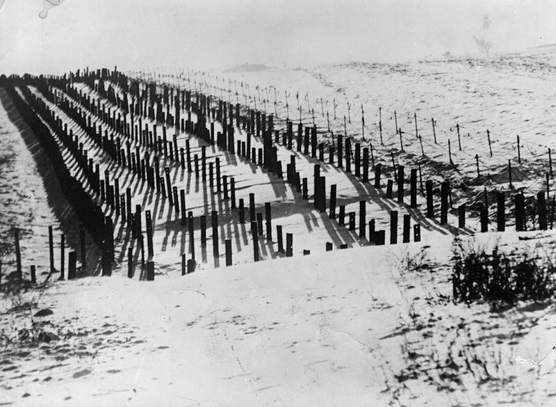 Books / The greatest military folly of modern times