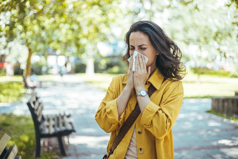 Hay fever: new immunotherapy approved in England for people with severe birch pollen allergies