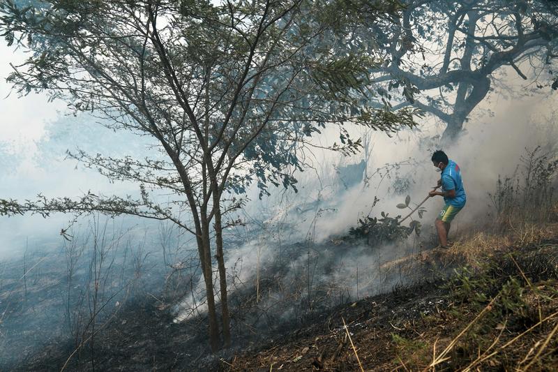 Wildfire disasters are increasingly in the news, yet less land is burning globally – here’s why
