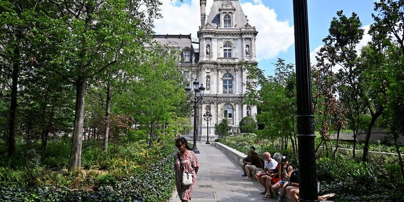 Ein Wald vor dem Rathaus