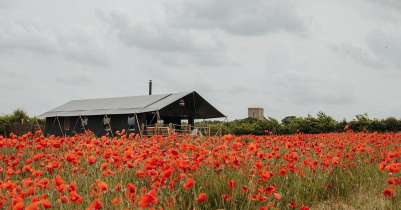 Two campsites in Norfolk named among country's most 'stylish'