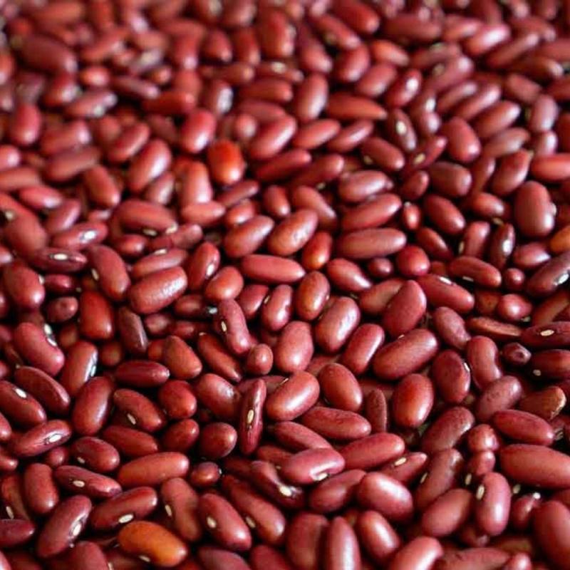 Perder peso: comer bem é melhor que comer menos