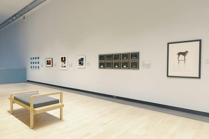 A straight face, with a wink – the subtle humor of deadpan photography