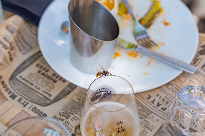 Remboursement des plats, 