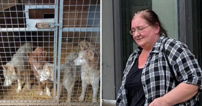 Woman evades jail after horrific treatment of animals living in squalor on farm