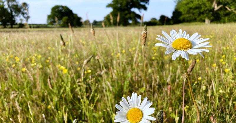 Farmers urged to grasp income opportunities from expanding biodiversity market