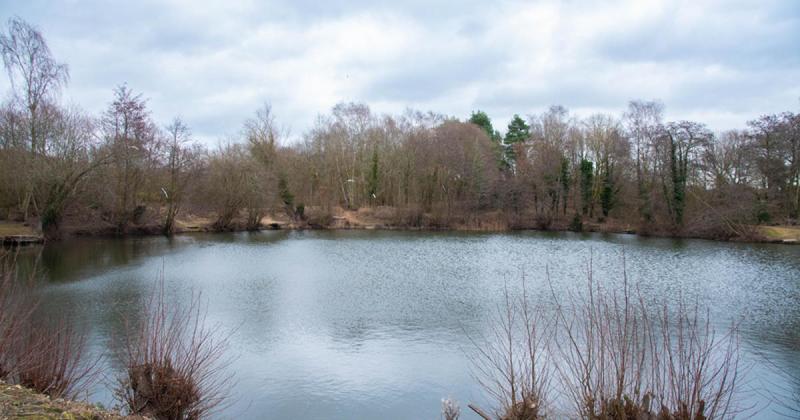 Fishing resumes at lake after Environment Agency called in