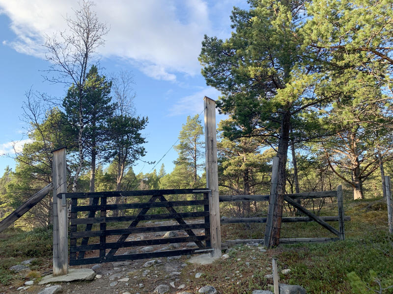 Forvaltning av Stabbursdalen