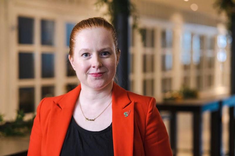 «Kaos» eller demokrati i praksis?