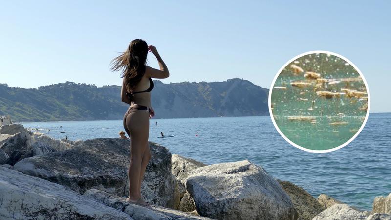 Alga tossica e maltempo, nonostante tutto c’è chi fa il bagno: dov’è il divieto di balneazione