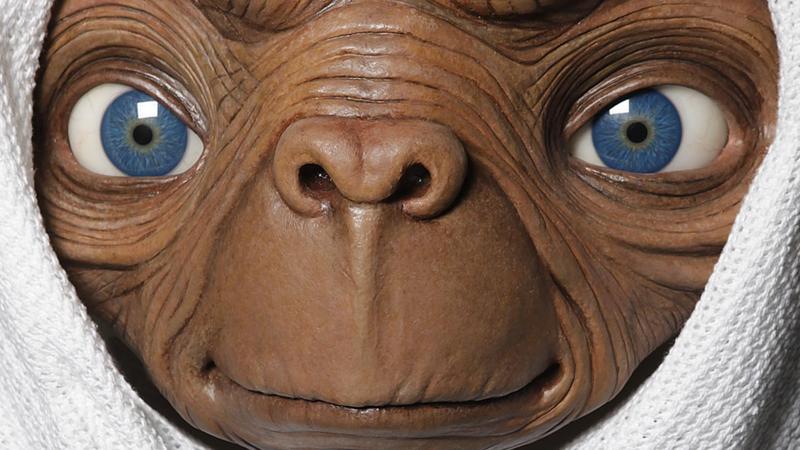 Wie verhält man sich bei einer Alien-Sichtung?