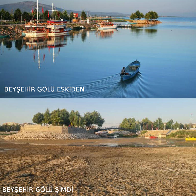 Susuz yaşanır mı?