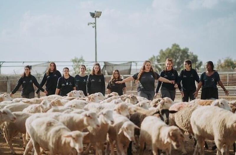 From Sept. 1, the storied Nahal military group will return to its agricultural roots