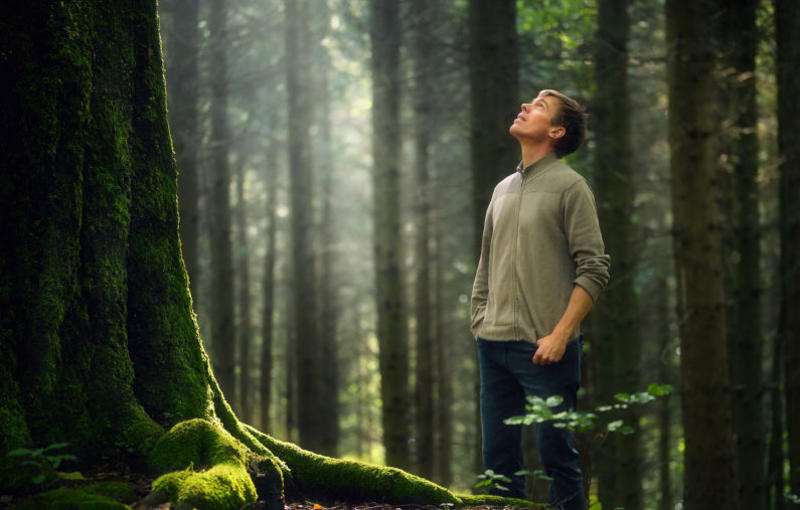 Environment: Humanity’s big success: turning forests from saviours to spoilers